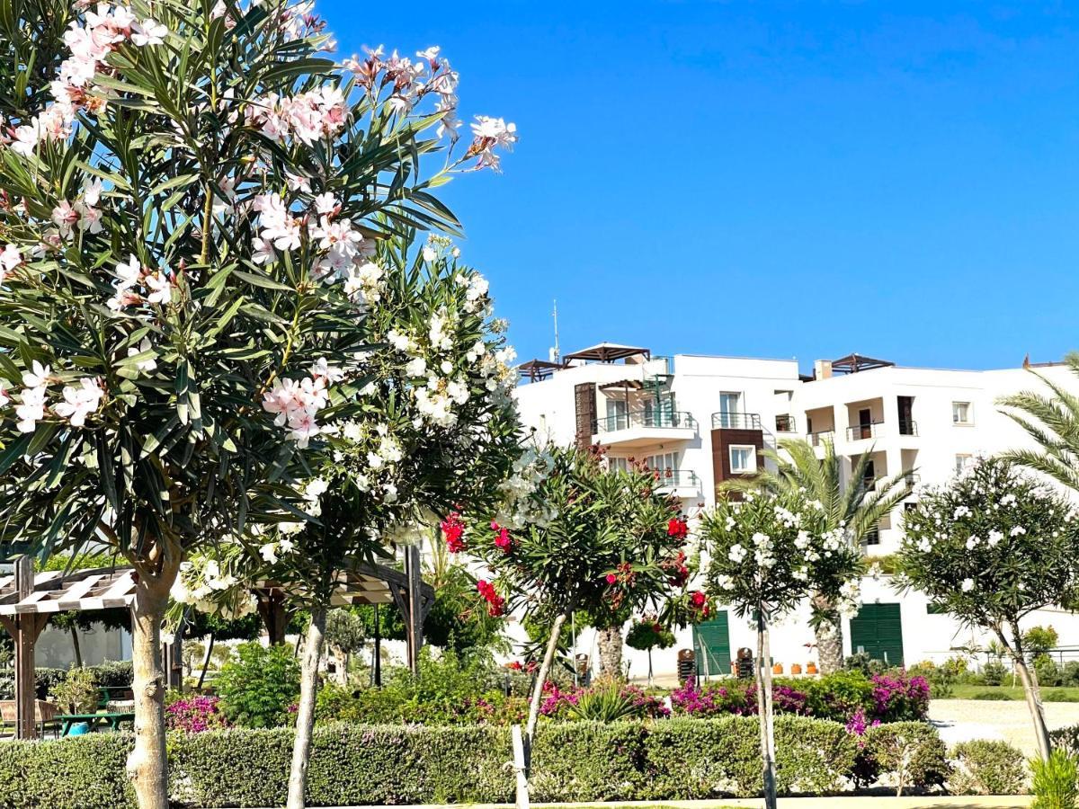Relaxing Penthouse Suites By The Sea Vokolidha Екстериор снимка